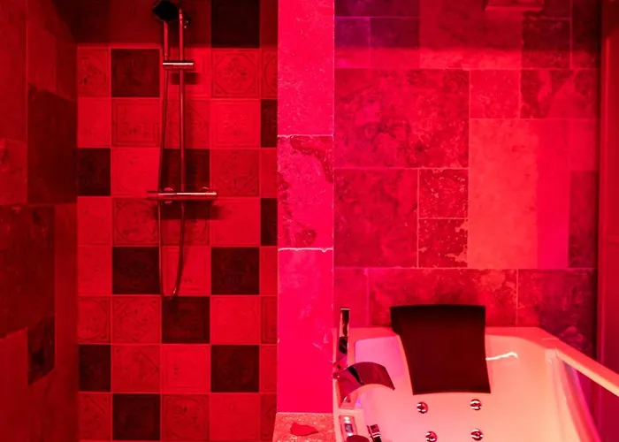 Loveroom Sauna, Balneo, Parking Prive Dans Le Centre De